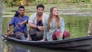 Задник к фильму "Любовь на Амазонке" #540465