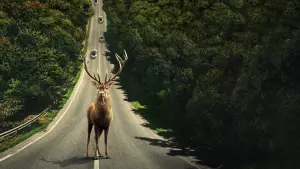 Задник к фильму "Оставить мир позади" #164150