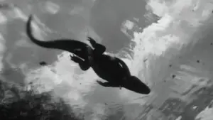 Задник к фильму "Мальчишки из «Никеля»" #598741