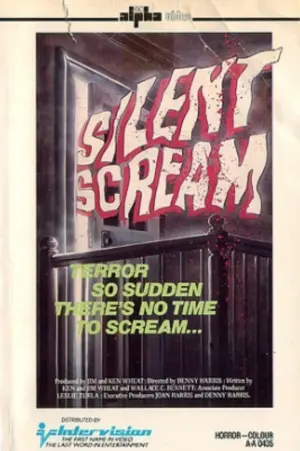Постер к фильму "Silent Scream"