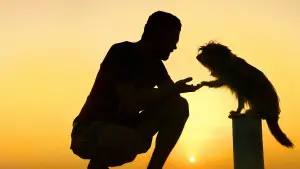 Задник к фильму "" #670829