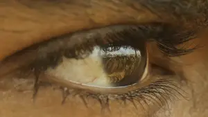 Задник к фильму "RRR: Рядом ревёт революция" #604780