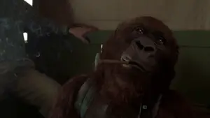 Задник к фильму "Конго" #701579