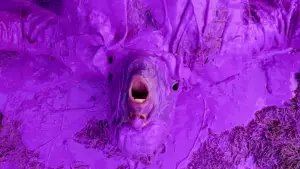 Задник к фильму "Кот" #687509