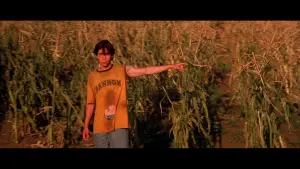 Задник к фильму "Джиперс Криперс 2" #710295