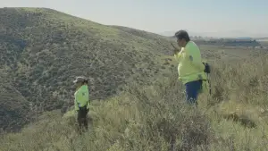 Задник к фильму "" #542317