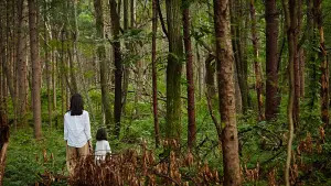 Задник к фильму "" #338205