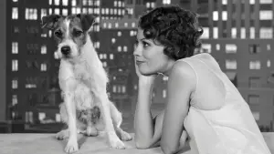 Задник к фильму "Артист" #214123