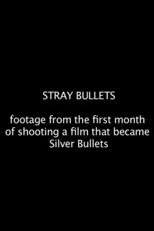 Постер к фильму "Stray Bullets"