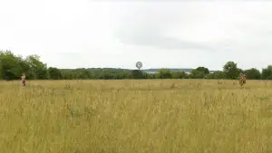 Задник к фильму "Королевство полной луны" #719523