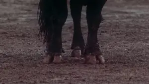 Задник к фильму "Дни одиночества" #675258