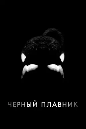 Чёрный плавник