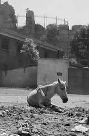 Постер к фильму "" #737092