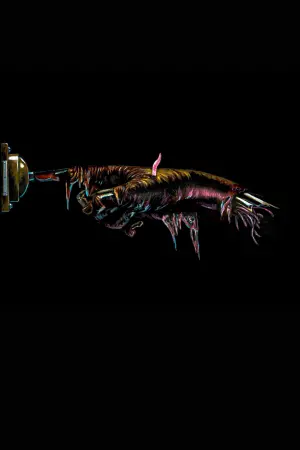 Постер к фильму "Дом" #303311