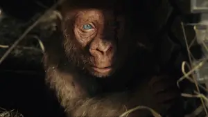 Задник к фильму "Рэмпейдж" #598878