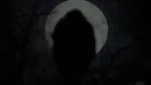 Задник к фильму "Ведьма" #600202