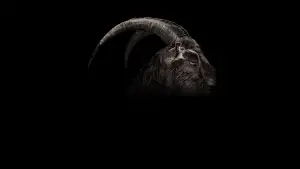 Задник к фильму "Ведьма" #600302