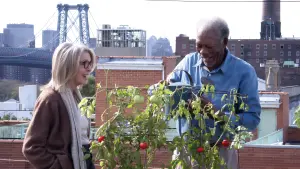 Задник к фильму "Сама жизнь" #388063