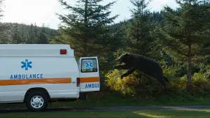 Задник к фильму "Кокаиновый медведь" #302315