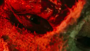 Задник к фильму "Человек тьмы" #672397