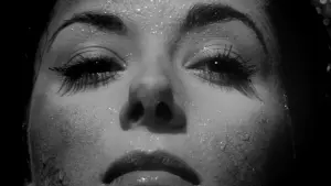 Задник к фильму "Вторжение похитителей тел" #213543