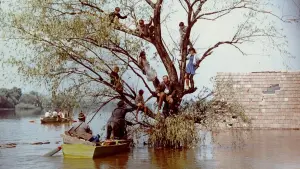 Задник к фильму "Свидетель" #496415