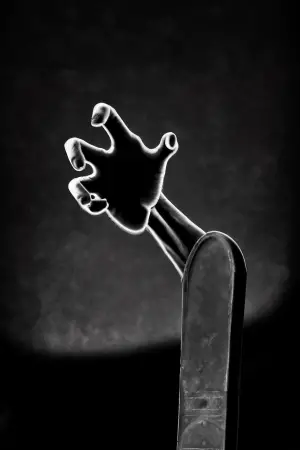 Постер к фильму "Ночь живых мертвецов" #697310