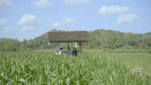 Задник к фильму "Memang Kalian Tahu Apa?" #824868