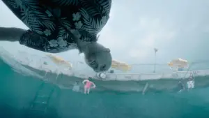 Задник к фильму "Все страхи Бо" #697875