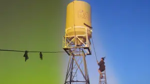 Задник к фильму "Кафе «Багдад»" #230498