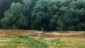 Задник к фильму "Монти Пайтон и священный Грааль" #665010