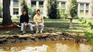 Задник к фильму "Человек дождя" #639797