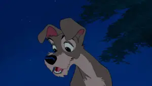 Задник к фильму "Леди и бродяга" #629696