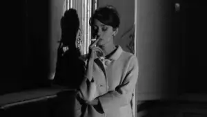 Задник к фильму "Шарада" #723059