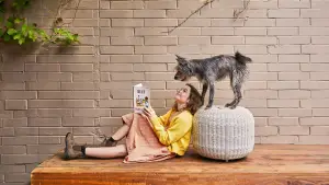 Задник к фильму "Мой любимый двортерьер" #683122