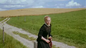 Задник к фильму "Роза Бернд" #681126