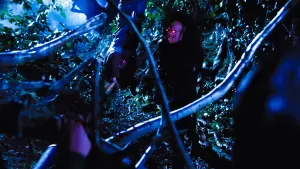 Задник к фильму "Царь зла" #424298