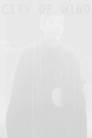 Постер к фильму "Сэр сэр салхи" #434792