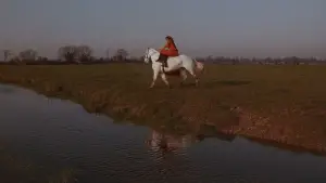 Задник к фильму "Фанни Хилл" #649240