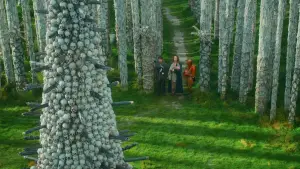 Задник к фильму "" #520800