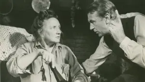 Задник к фильму "Дружеское увещевание" #459711