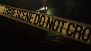 Задник к фильму "Достать ножи" #561238