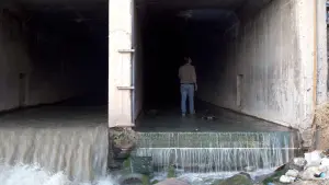 Задник к фильму "" #368934