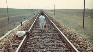 Задник к фильму "Дух улья" #204429