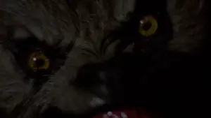 Задник к фильму "Американский оборотень в Лондоне" #701839