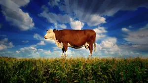 Видео к фильму Корпорация &laquo;Еда&raquo; | Корпорация "Еда" - Trailer