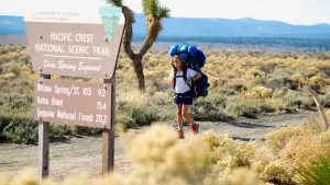 Задник к фильму "Дикая" #245807