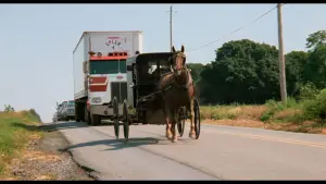 Задник к фильму "Свидетель" #672977