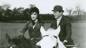 Задник к фильму "Чтоб ты сдохла, дорогая!" #498891