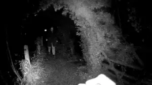 Задник к фильму "" #540187